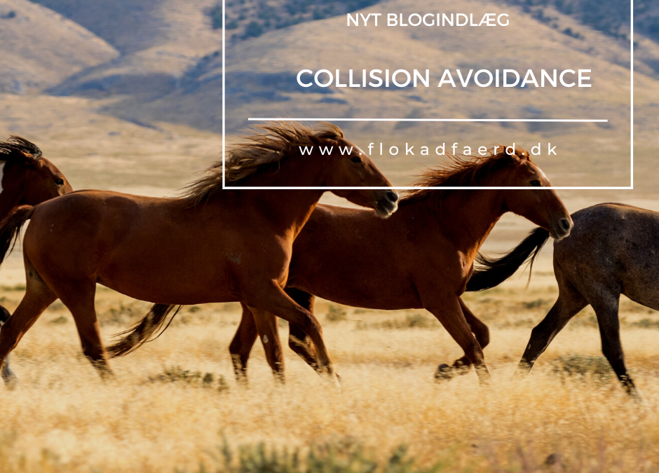 Collision avoidance